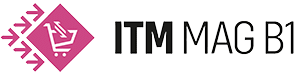 ITM Management logo