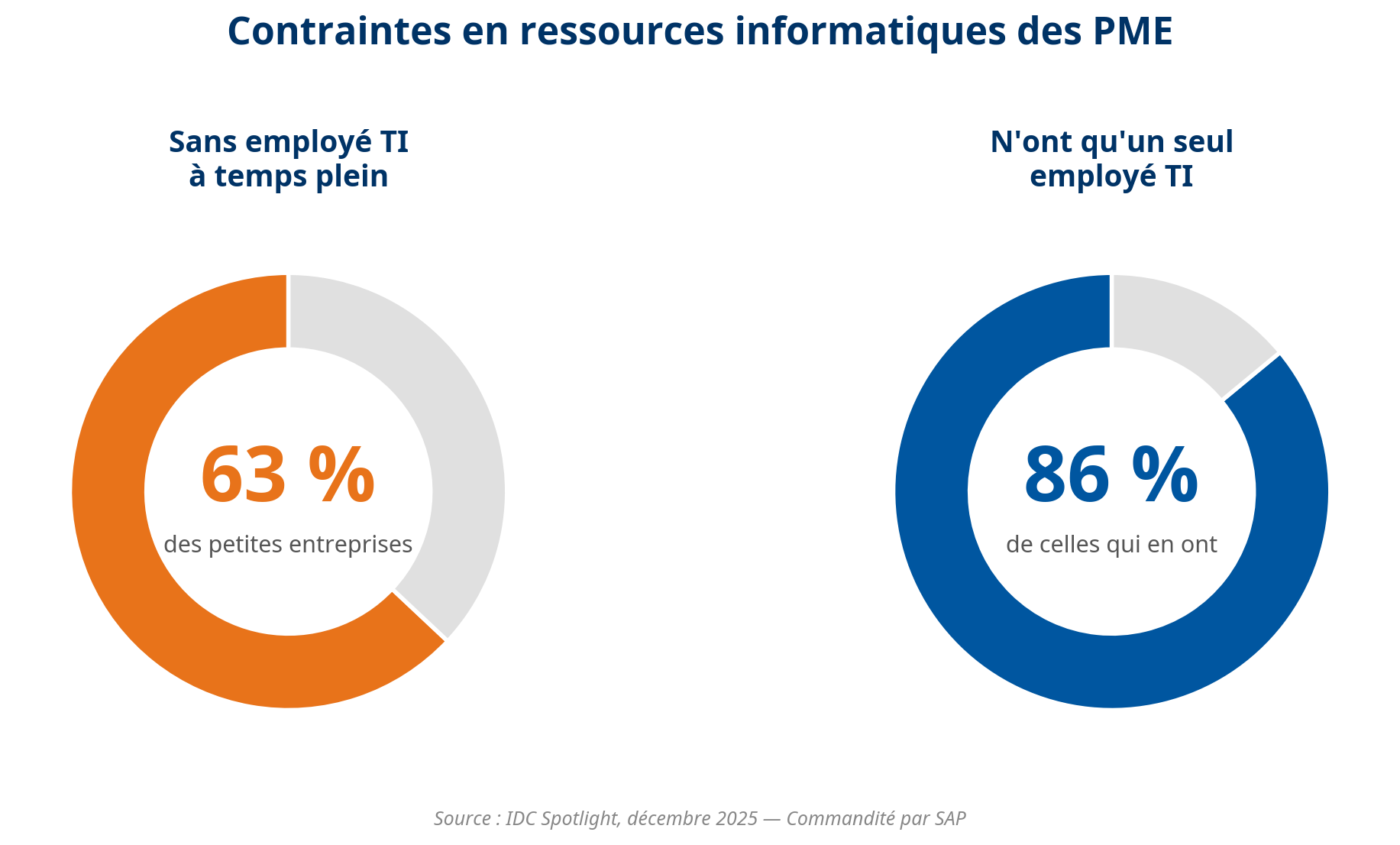 Infographie montrant les contraintes en ressources informatiques des PME.